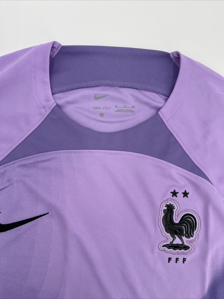 $95 Nike Men's France Goalkeeper Soccer Jersey FFF DN0664-581