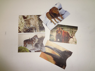 Sale! 1 Lot RFID (of 5) Credit Card Sleeve Identity Protector Full Color Animals