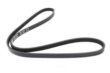 Serpentine Belt