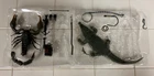 GI Joe Classified #180 (Scorpion-25 Only) & #38 (Fiona Only) with Accessories