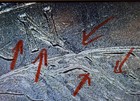 2019-P River of No Return Idaho Quarter, Reverse die crack error — photo 1