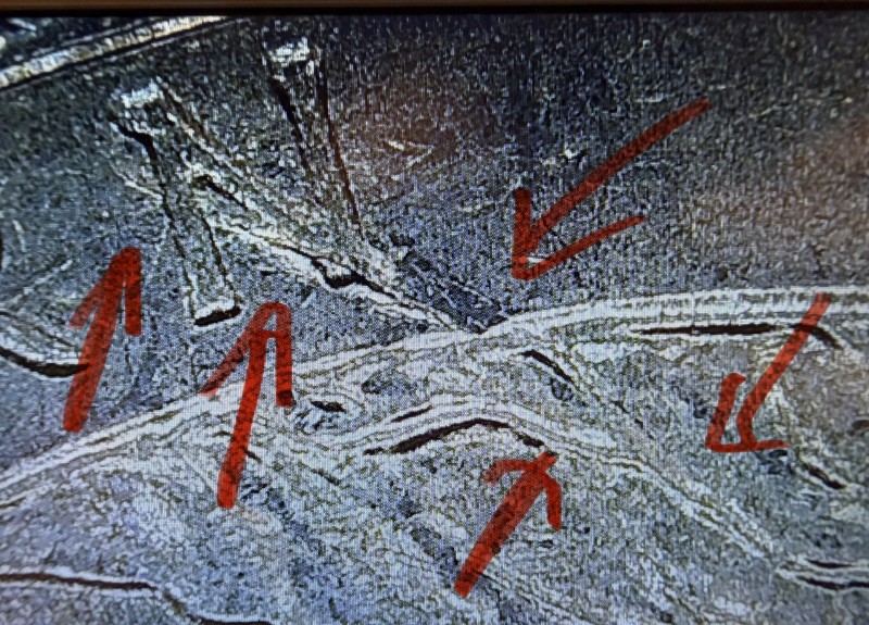 2019-P River of No Return Idaho Quarter, Reverse die crack error