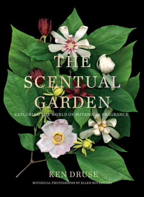 The Scentual Garden: Exploring the World of Botanical Fragrance by Ken Druse
