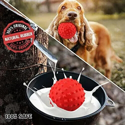 Interactive Dog Ball Toy Indestructible Tough Durable Stick for Medium Small Dog - Picture 3 of 6
