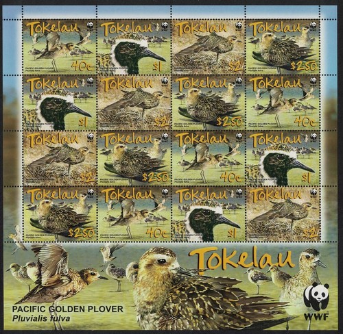 SALE Tokelau Birds WWF Pacific Golden Plover Sheetlet of 4 sets 2007 MNH