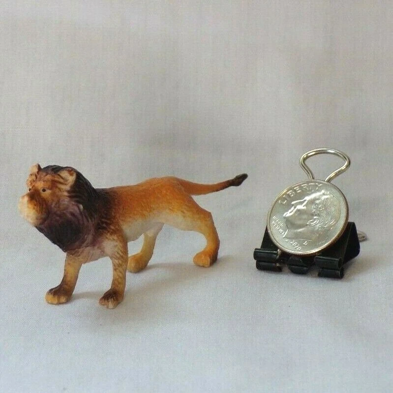 Miniature lion best sale cat