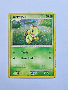 turtwig pokemon card price Turtwig Custom Pokmon Card | Sinnoh Starter Full Art Collectible