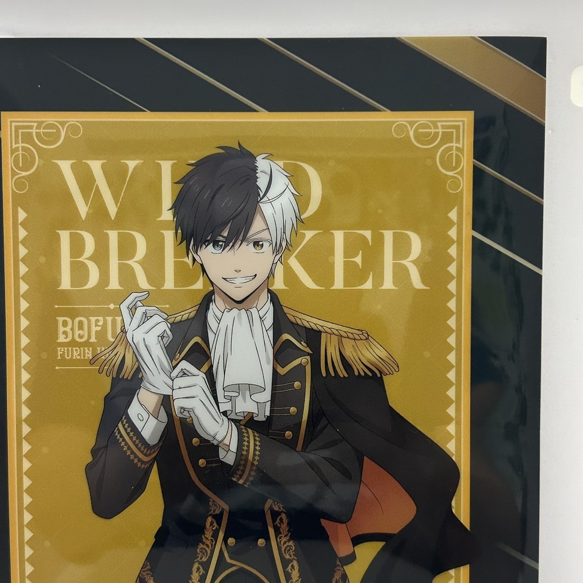 Windbreaker × FamilyMart Newly written A5 Clear File 