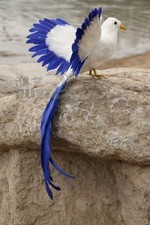 new simulation bird model polyethylene furs blue wings bird doll 45cm