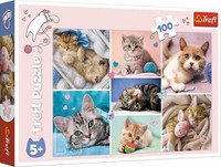 Trefl 16420 Puzzle Katzenwelt - 100 Teile