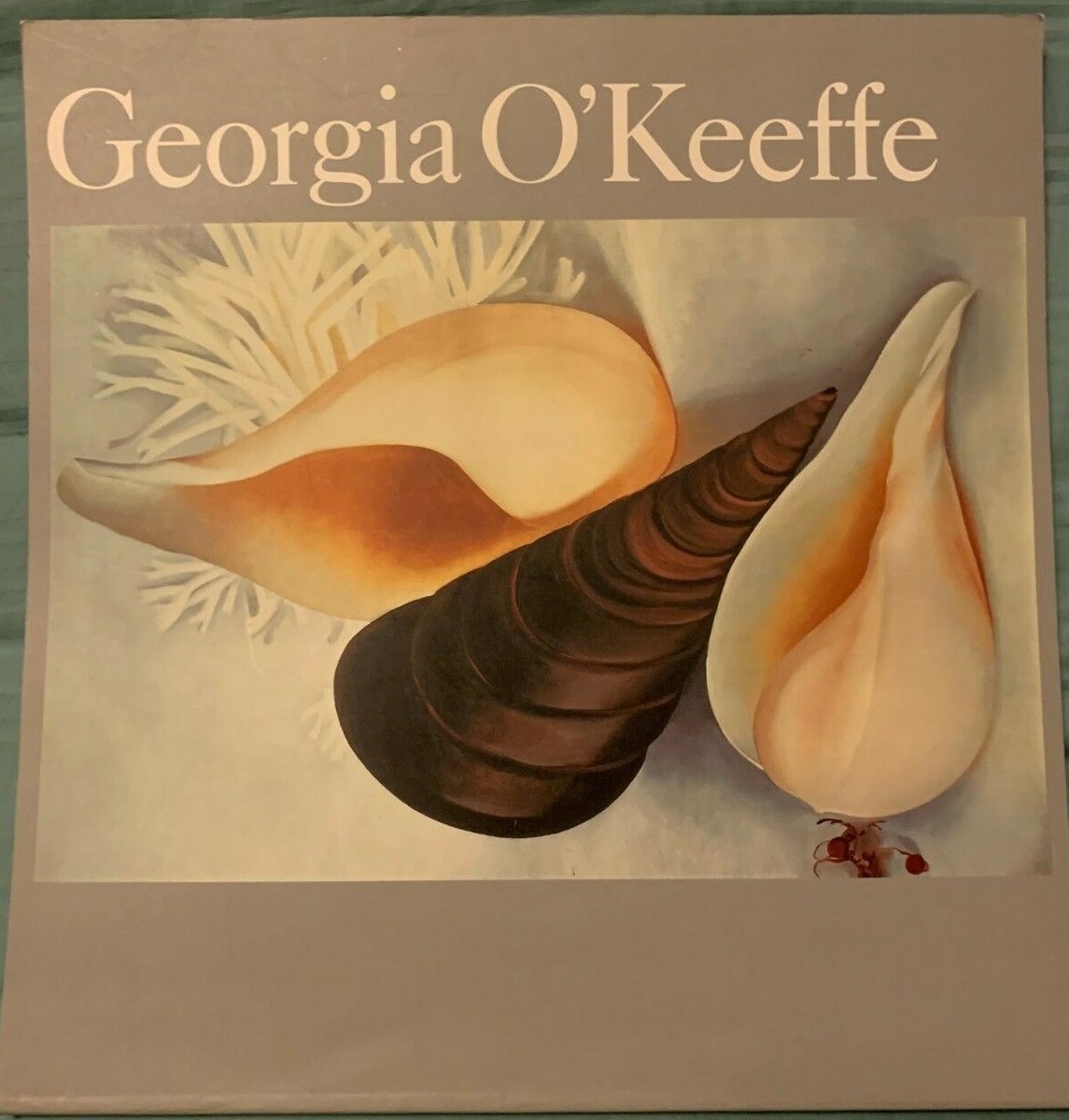 洋書 Georgia O'Keeffe Georgia O'Keeffe Siebu Museum of Art Japan 1988 softcover 36