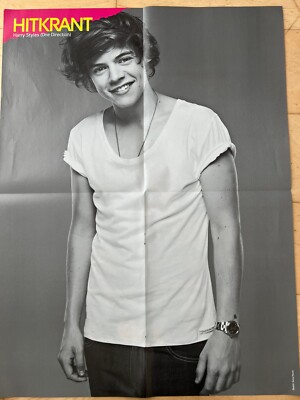 Harry Styles One Direction & B-Brave A2 Poster