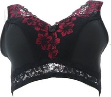 Rhonda Shear 3Pc Pin-Up Bra Lace Back Evening Escapade M NWOT 55 