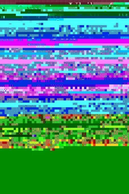 Ich Ein Feld Voller Raps Verstecke Die Rehe Und Leuchte Wie