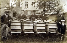 Dutch Beekeepers c.1908 RPPC Photo Postcard COPY