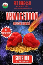 10 Fresh Armageddon Chili Seeds | Extreme Heat Hot Pepper Capsicum UK