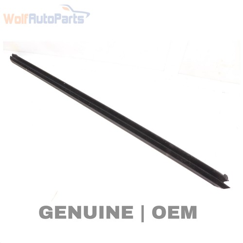 2012-2022 VW PASSAT - REAR Right DOOR / Window SLOT SEAL (Inner) 561839480