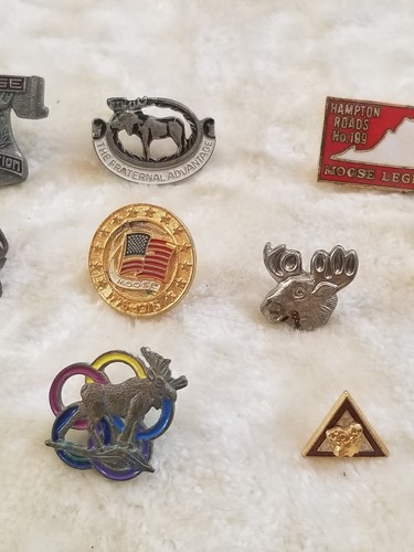 Vintage Lot 13 BPOE Elks Moose Lodge Scatter Pin Hat Lapel Collar Tie Tack Studs - Picture 6 of 13