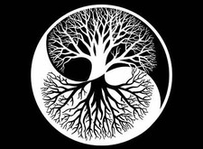 Yin Yang Tree Circle 2 pc 4 Inch White Fused Glass Decals