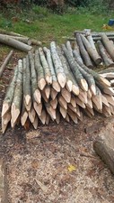 Chestnut Fence Posts And Stakes