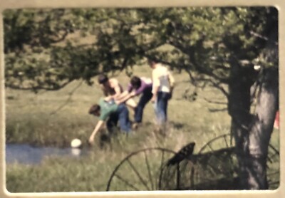 Vintage 35mm Photo Slide 1960s - Group Fetching A Volleyball From The Pond