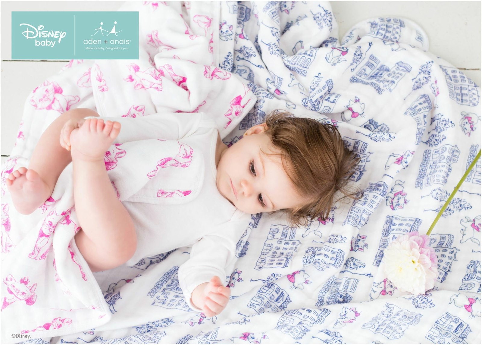 aristocats crib bedding