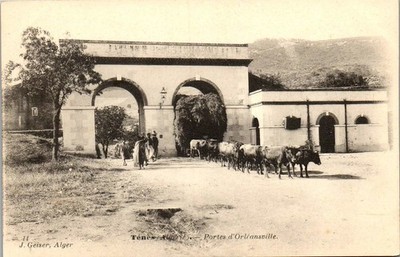 ALGERIA - TENES - doors of Orleanville.