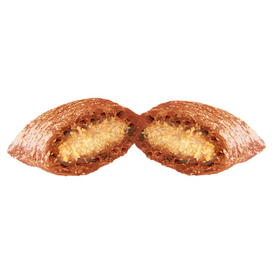 Cat Treats with Salmon 350g MegaTub