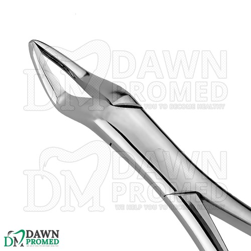 Incisores superiores e instrumento dental raíz de extracción #286 grado alemán - Imagen 4 de 8