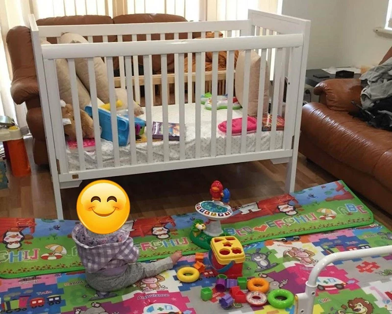 king parrot sleigh cot