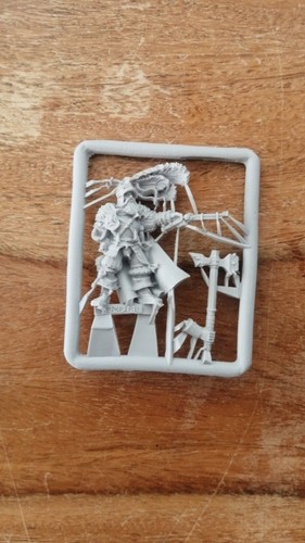 Warhammer AOS Empire Captain With Hammer And Pistol Resin Fantasy Games Workshop