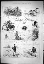 Antique Old Print Partridge Shooting Hunting Sport Huntsmen Gamekeepr 1875 19th