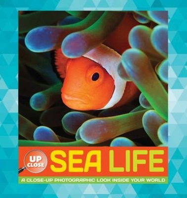 Sea Life : A Close-Up Photographic Look Inside Your World Heidi F