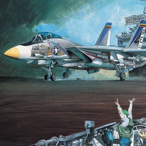AC12563	172 USN F-14A VF-143 Pukin Dogs