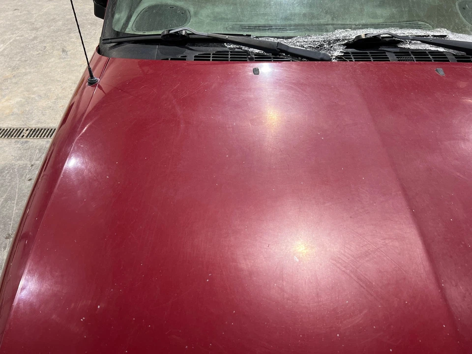 1994 - 2004 Chevy S10 Dark Cherry Red Metallic-94U Hood Panel Foto 2 de 4