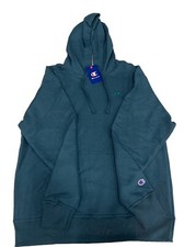 Champion Powerblend Fleece Hoodie, Size Small, Metallic Tea