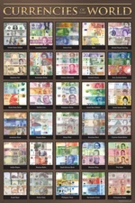 Currencies World Chart Dollars GBP EURO Yen Picture Money Classroom Poster 12x18