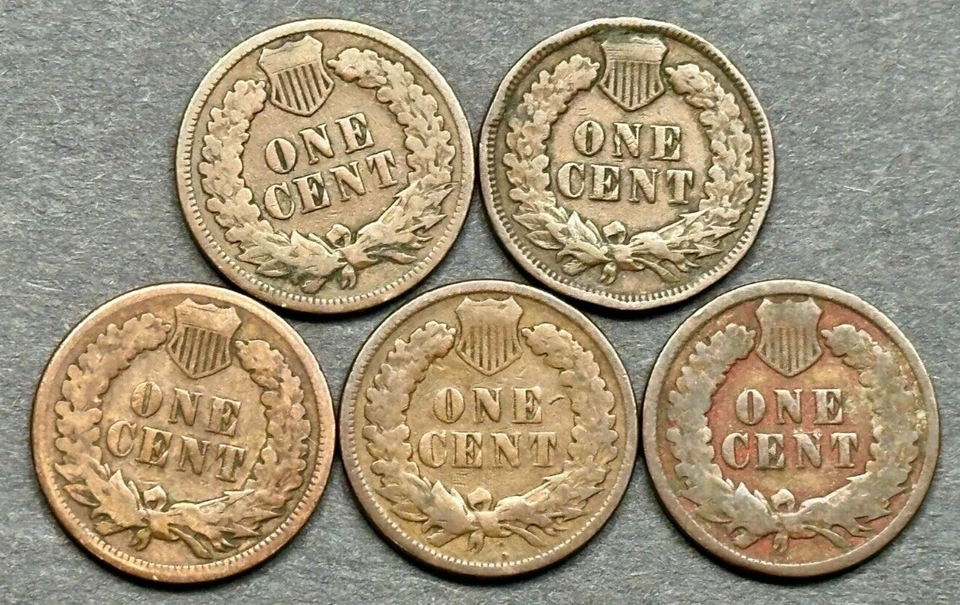 Estate Sale ~ Indian Head Cent Penny Lot of 5 DIFFERENT Dates From 1880 To 1899 - Image 2 of 4