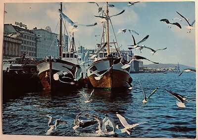 Bergen Norway, Norge, Harbor Fishing Boats and Seagulls, Unused Vintage Postcard