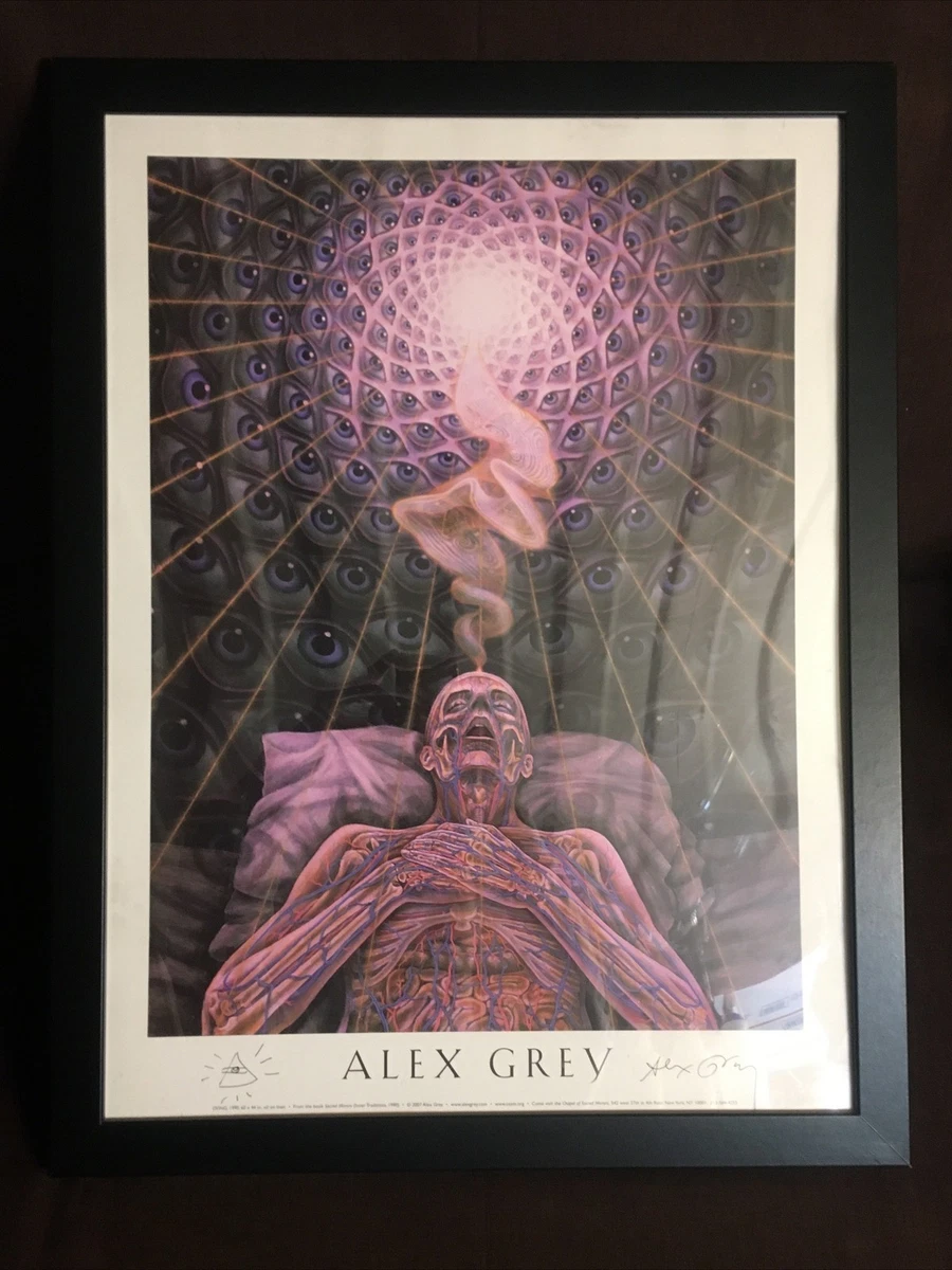Alex Grey In Art Posters for sale | eBay