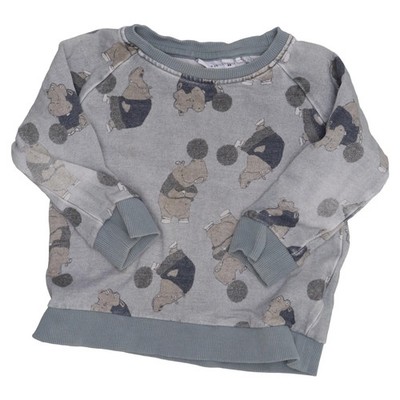 Name It, Sweatshirt, Größe: 86, Grau/Mehrfarbig, Elasthan/Bio-Baumwolle #Oxe