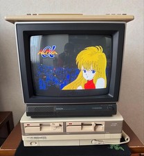 Fujitsu General DM-405 PAXON RGB2000 15kHz CRT monitor display a colori