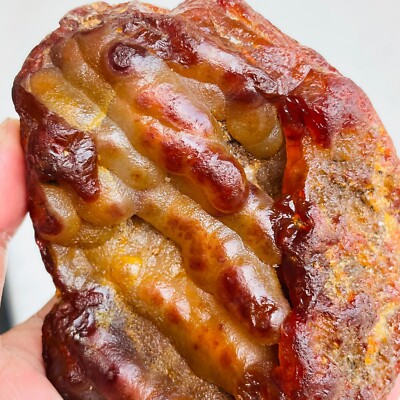 1.44lb Natural Gobi Agate Crystal Bonsai Suiseki Stone Raw Mineral Specimen
