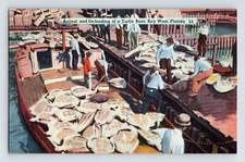 Postcard Florida Key West FL Turtle Boat 1940s Unposted Linen