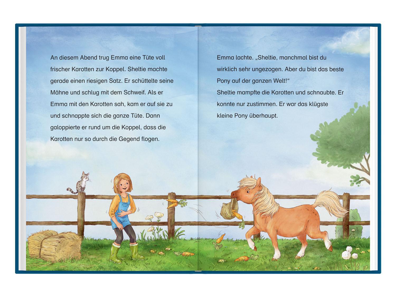 Thumbnail - Sheltie - Wie Sheltie Auf Schatzsuche Ging Peter Clover