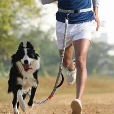 Outdoor Running Stretchable Reflective Elastic Dog Leash Suitable for Walking Do