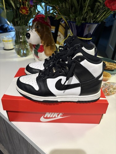 Nike Pandas High Top Sneakers