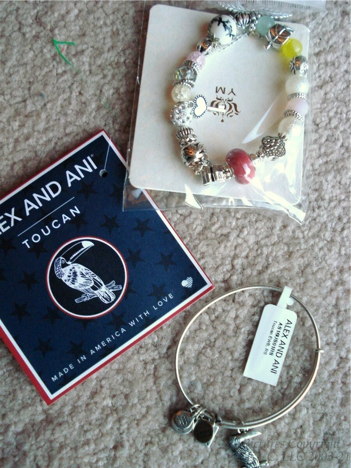 US Olympic Team Brazil Tropical Toucan Energy Silver Alex and Ani Charm Bracelet - Image 2 of 4
