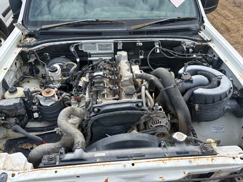 Picture 11 of 12