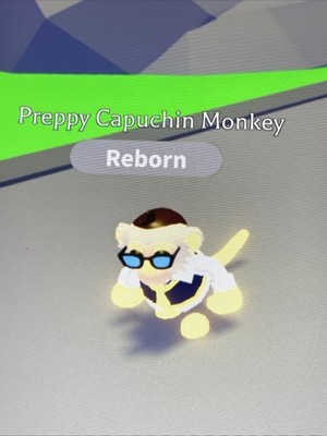 Adopt From Me Neon Preppy Capuchin Monkey (no potion)